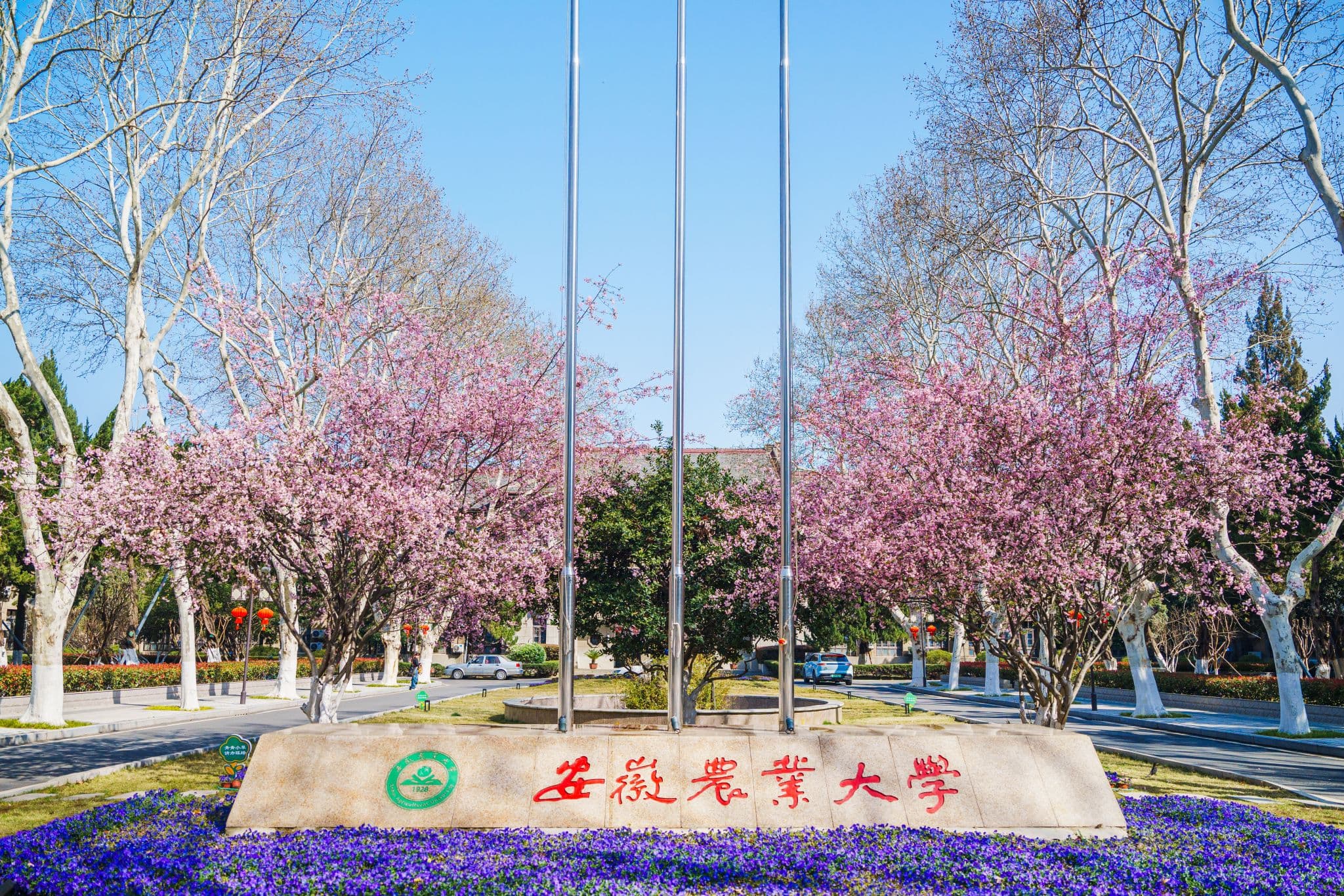 安徽农业大学校园图