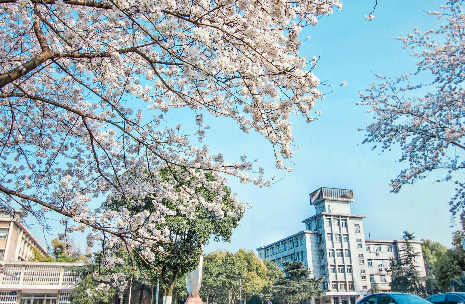 长江大学校园图
