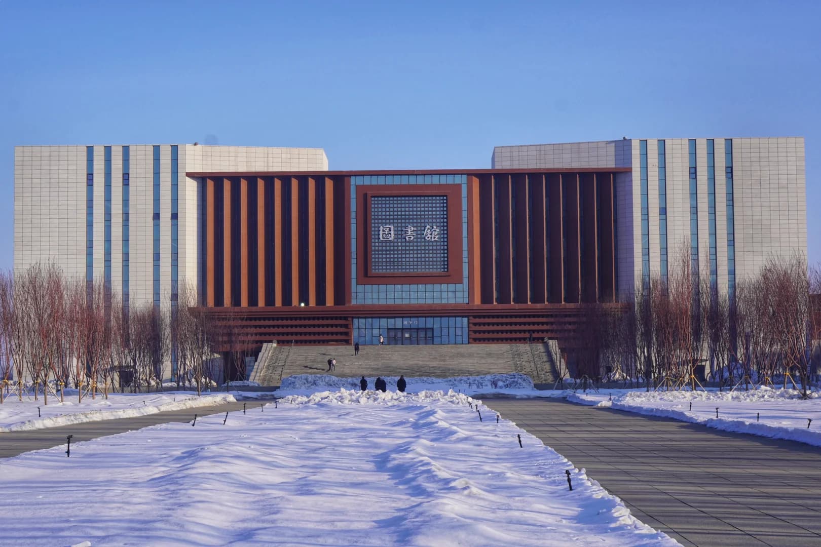 新疆大学校园图