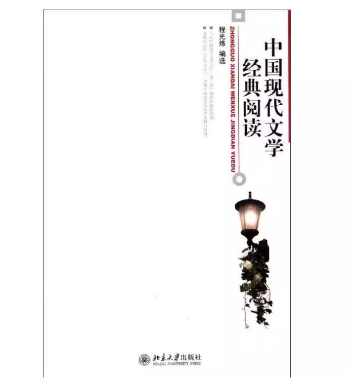 中国现代文学经典阅读 封面