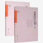中国当代文学